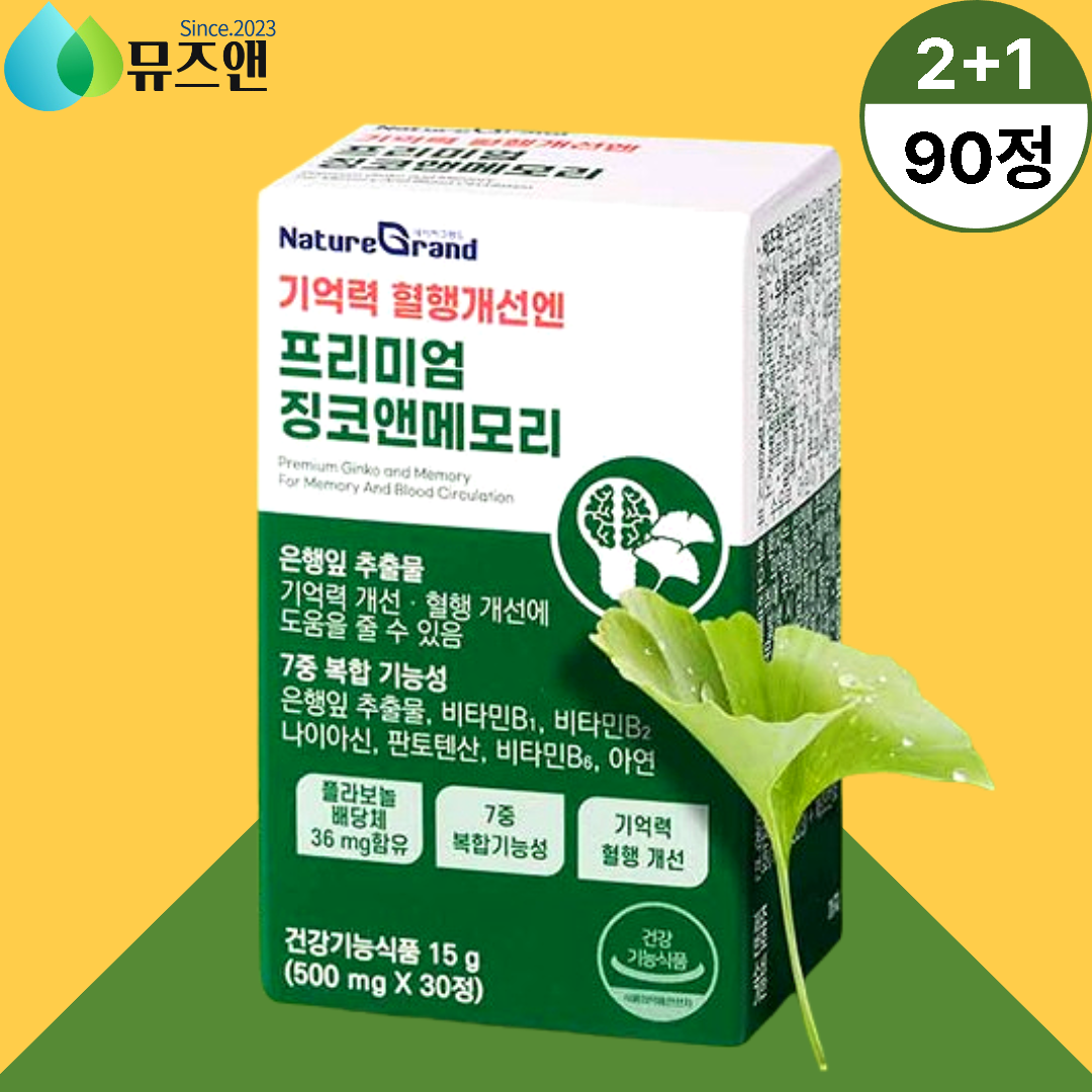 징코플러스 징코메디 <b>기억력</b> 두뇌 2+1