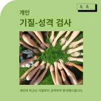 성인 TCI 기질성격검사 + 전화해석상담 30분