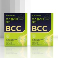 2세대 보스웰리아 BCC 2박스(2개월분) 강황 가자 관절 건강 기능식품