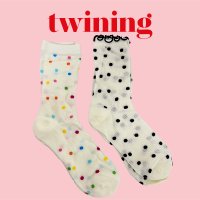 Candy Sock 땡땡이양말 포인트삭스 메쉬양말 망사