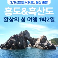 여수여행 녹테마레 예술랜드 당일치기