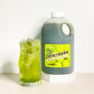 흥국 샤인머스캣 농축액 1.5L (아이스박스 무료) 청포도에이드 샤인머스켓 16%