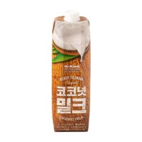 노브랜드 코코넛 밀크 1L (1개) 베트남 워터 카페 재료 대량 구매