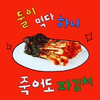 호랑이남매 파김치500g