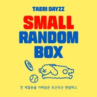 강아지옷 SMALL 랜덤박스 여름옷 겨울옷 커플룩 태리데이즈 개플룩