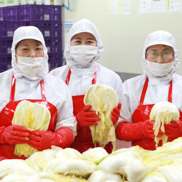해남 절임배추 20kg 절인배추 김장배추 전라도 해풍 휘파람