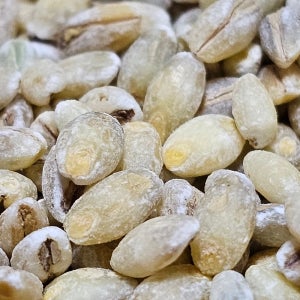 2025년 햇 늘보리쌀2kg 쌀눈 호분층 영양·식감 2배 통곡물-국산