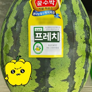 프레치 국내산 고당도 수박 7~9kg