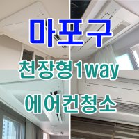 [에어컨 청소] 서울 마포구 천장형 1웨이 에어컨 (당일 출장 청소 가능)