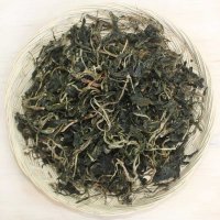 지리산 풍년초 나물 500g 개망초 망초대 망촛대 건나물 마른 말린 제철 대보름 나물