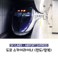 도쿄 스카이라이너 티켓 메트로 지하철 패스 나리타 공항 도쿄 고속 열차