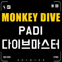 [몽키다이브] PADI 다이브 마스터 자격증 코스 국내 해외 다이빙 스쿠버 자격증