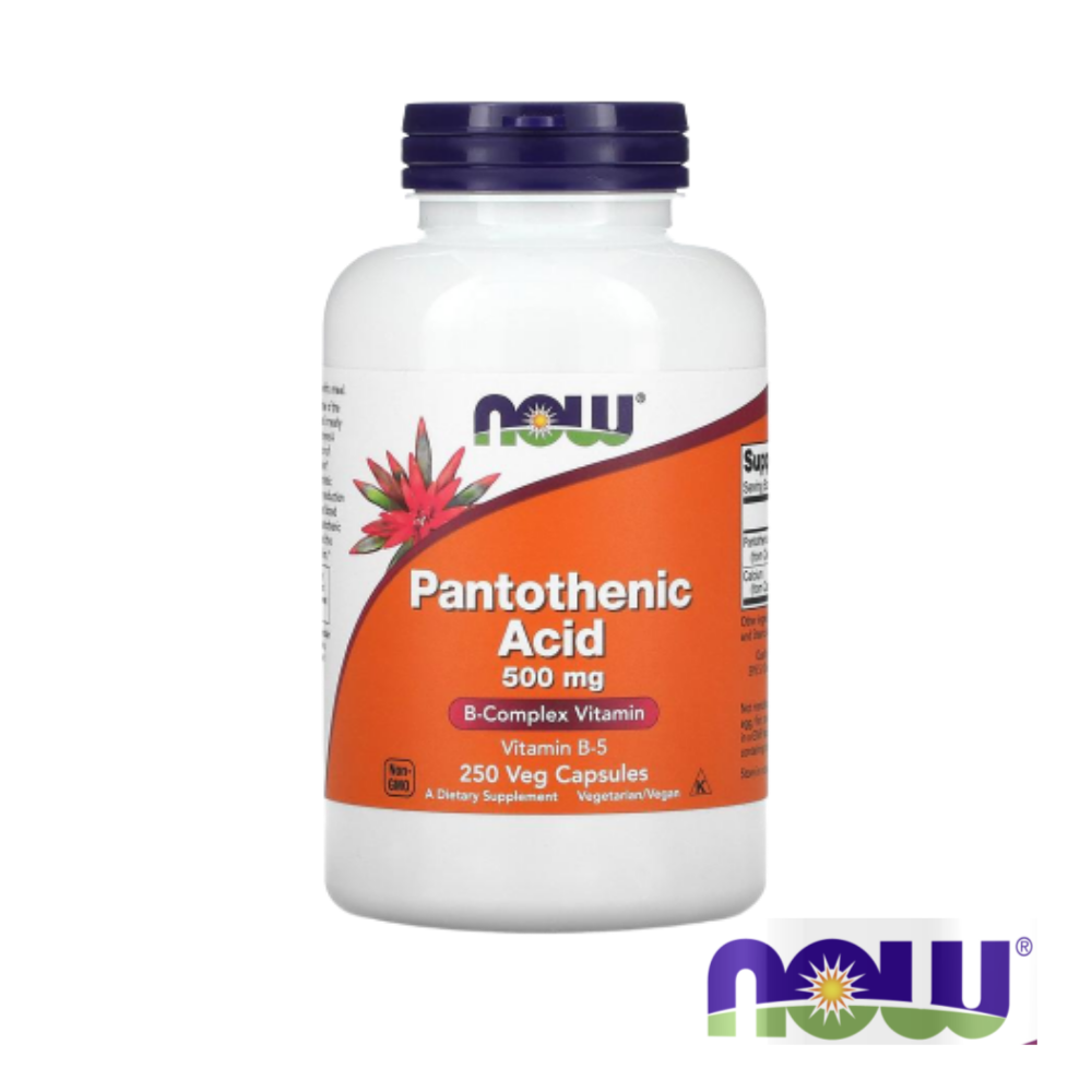 나우푸드 <b>판토텐산</b> 500mg 250 베지 캡슐