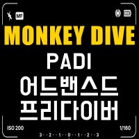 [몽키다이브] PADI 어드밴스드 프리다이버 자격증 코스 국내 해외 다이빙 스쿠버 프리다이빙 자격증