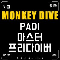 [몽키다이브] PADI 마스터 프리다이버 자격증 코스 국내 해외 다이빙 스쿠버 프리다이빙 자격증