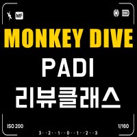 [몽키다이브] PADI 리뷰 리엑티브 자격증 코스 국내 해외 다이빙 스쿠버 프리다이빙