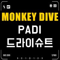 [몽키다이브] PADI 드라이슈트 OT 자격증 코스 국내 해외 다이빙 스쿠버 프리다이빙 교육