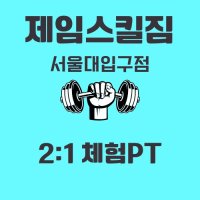 2:1 체험피티