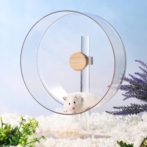 부켓스테이트 아크릴 무소음 쳇바퀴 32cm Clear
