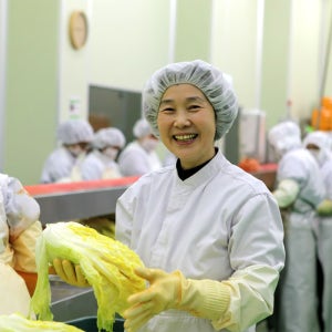 강원도 고랭지 절임배추 절인배추 영월 고냉지 열정농부 10kg