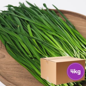 부추 4kg [ 신선야채 싱싱한 채소 식자재 식재료 업소용 대용량 식당용 부추전 ]
