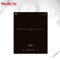웰치 WEI-100 인덕션 1구 빌트인 매립형 전기레인지