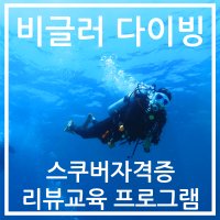 [비글러다이빙]스쿠버다이빙 리뷰교육/ 스킨스쿠버 재교육/ 오픈워터/ 수중촬영