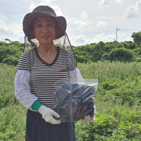 제주 건고사리 200g