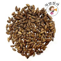 국산 야생 자연산 창이자 가시제거 창이자 300g, 볶은 창이자, 도꼬마리