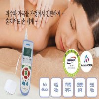 저주파 전기 물리 치료 안마 마사지기