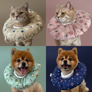 보드미펫 강아지넥카라 고양이넥카라 중성화 목보호대 애견목카라 S