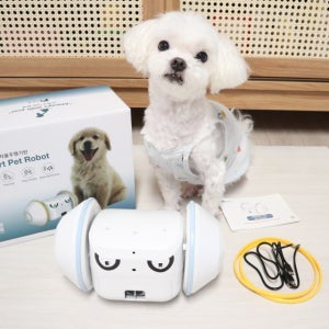 펫반장 노즈워크 장난감 분리불안 강아지 고양이 반려견 자동장난감 앱 연동 로봇/본사몰