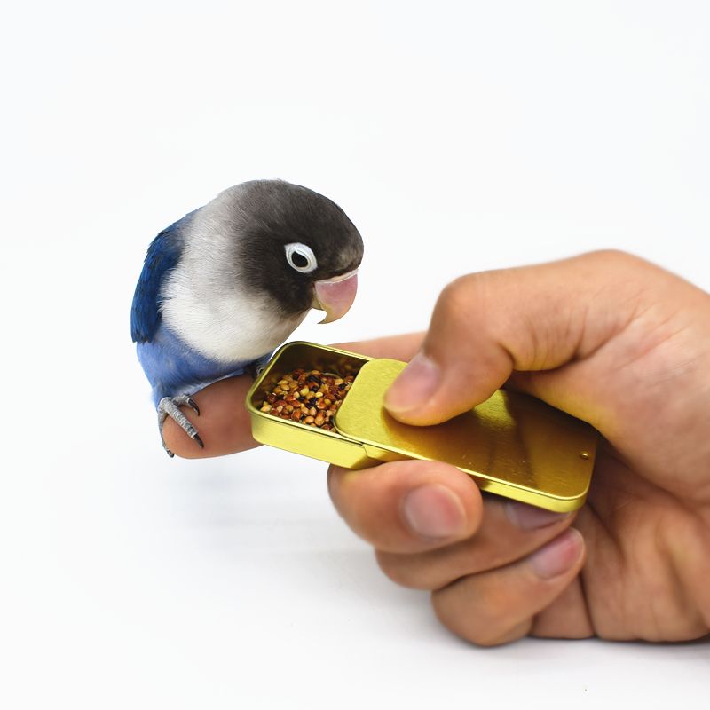 핸들링 훈련 <b>밀당</b> 보상상자 앵무새 길들이기 모이통