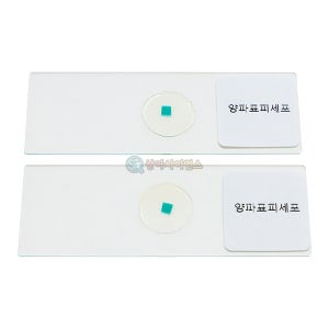 광고 메인 이미지