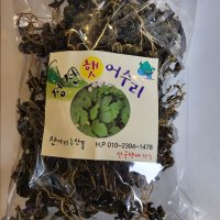 강원도 정선 산지직송 산아리농산물 어수리 나물