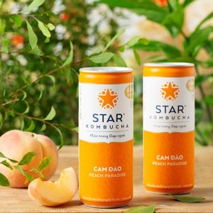 스타 콤부차 피치 파라다이스 250ml 12캔