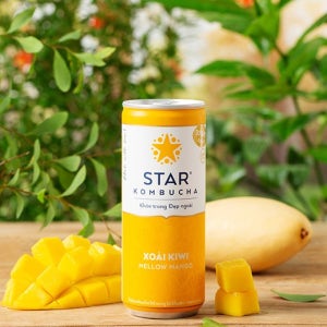 스타 콤부차 멜로 망고 250ml 12캔