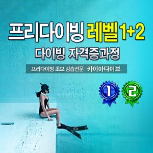 수원수영강습 최저가 가성비상품