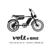 퀄리 볼트B 20인치 전기자전거 자토바이 48V 15Ah 500W 팻바이크 리미티드에디션