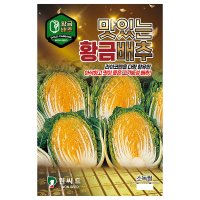 맛있는황금배추 김장배추씨앗 김장씨앗 300립 원씨드 23년