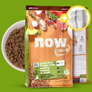 (+소분세트) 나우 눈물 사료 나우 스몰브리드 칠면조 사료 시니어, 9.98kg, 1개