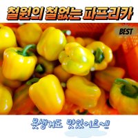 철원직송 맘스팜 못난이 파프리카 5kg 10kg 빨강 노랑 혼합 피망