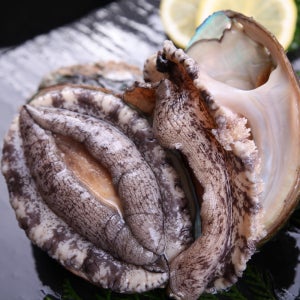 완도 활전복 1kg / 크기별(산소포장+세척솔) 수령일선택 가능