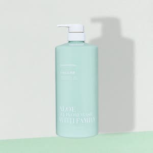 [빠른출고/온가족 대용량] 정직한실험실 알로에 올인원 워시 위드 패밀리 1000ml, 1개