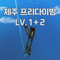 제주 서귀포 PADI 프리다이빙 레벨1+2 교육