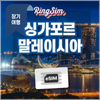 싱가포르 말레이시아 이심 장기플랜 데이터 e심 유심 링심 esim