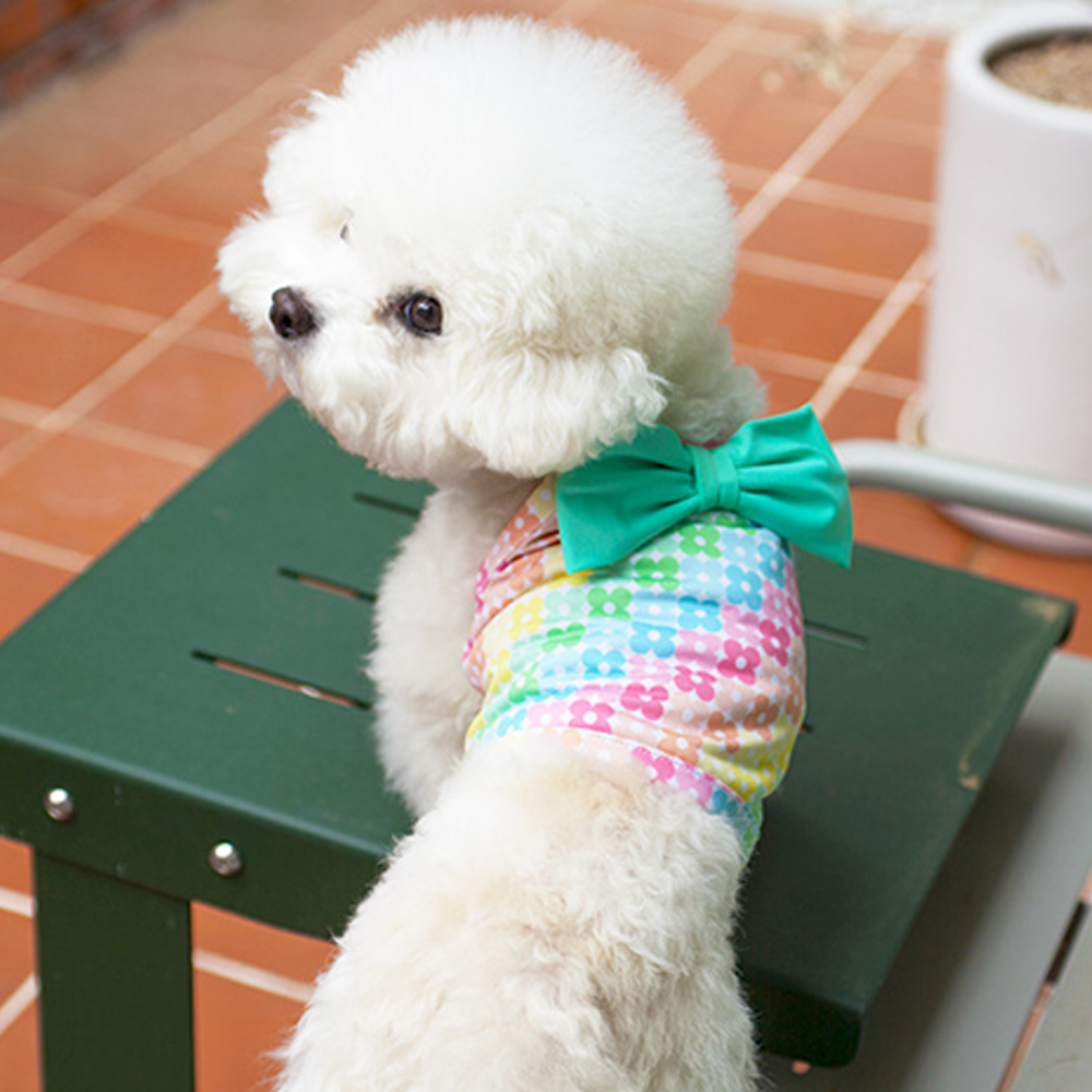 펫팸족 여행용품