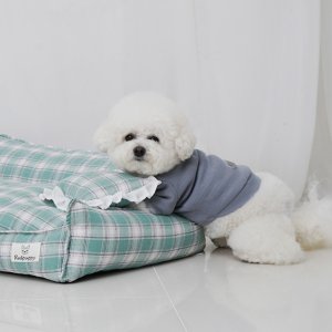 dp 개과천선 소파 침대 방석 M 민트색 강아지 카시트