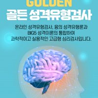 GOLDEN골든성격유형검사+결과 해석지21장, 전문가 해석상담30분(선택사항)