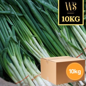 대파 10kg [ 신선야채 중국산 대용량 업소용 채소 식당용 식자재 식재료 파 파전 ]